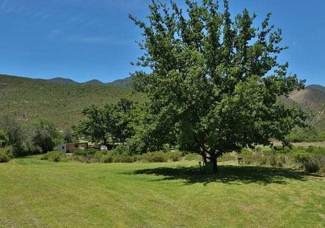 Main camping site