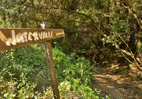 Hiking and walking trails